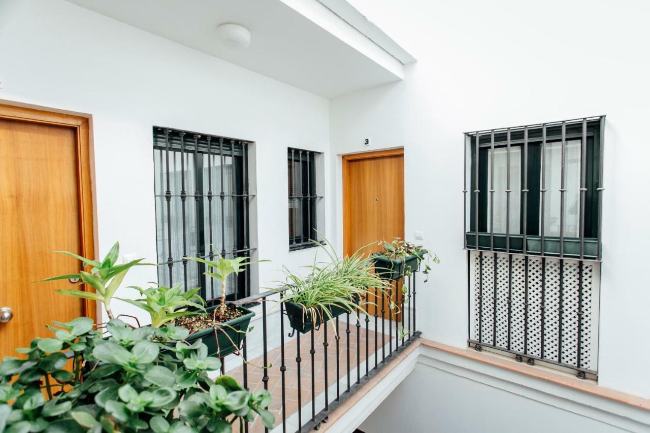 شقة Bright Duplex W/ Terrace إشبيلية المظهر الخارجي الصورة